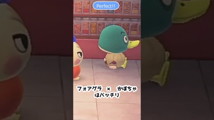 【あつ森】 果物の服　Fruit outfit