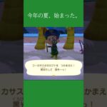 【あつ森】夏の昆虫に大興奮！コーカサスオオカブトとゾウカブトをGET！🪲✨絶対に図鑑を埋めて見せますｗｗ