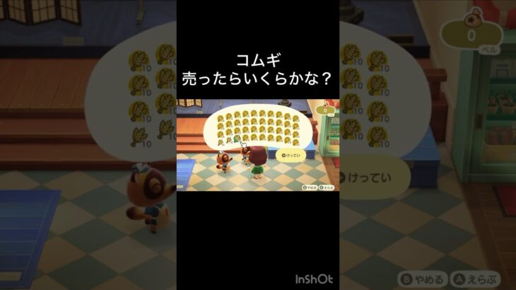 How much Bells can I make by selling everything? 　　#vlog #あつ森 #あつまれどうぶつの森 #こはくちゃんねる2424   #毎日更新　