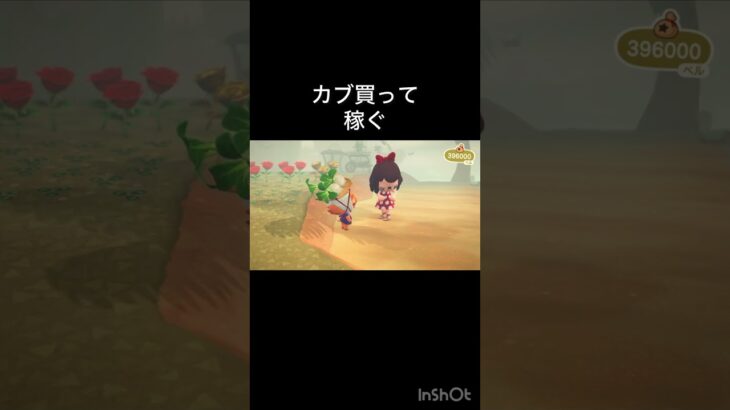 How much Bells can I make by selling everything? 　　#vlog #あつ森 #あつまれどうぶつの森 #こはくちゃんねる2424   #毎日更新　