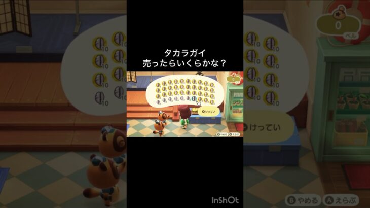 How much Bells can I make by selling everything? 　　#vlog #あつ森 #あつまれどうぶつの森 #こはくちゃんねる2424   #毎日更新　