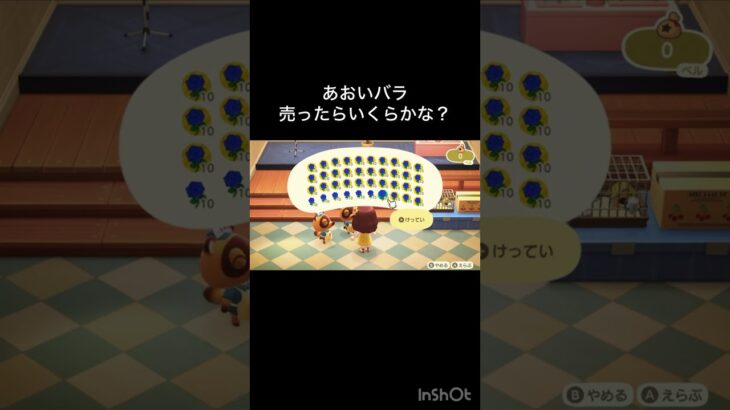How much Bells can I make by selling everything? 　　#vlog #あつ森 #あつまれどうぶつの森 #こはくちゃんねる2424   #毎日更新　