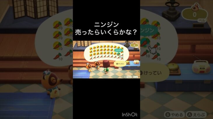 How much Bells can I make by selling everything? 　　#vlog #あつ森 #あつまれどうぶつの森 #こはくちゃんねる2424   #毎日更新　