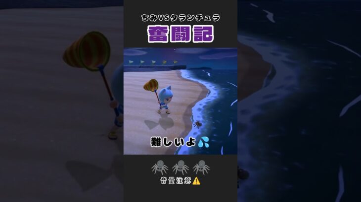 【あつ森│LIVE配信】切り抜き『タランチュラ捕獲🕷️7年目の挑戦』#あつ森 #あつまれどうぶつの森 #どうぶつの森 #animalcrossing #ゲーム実況