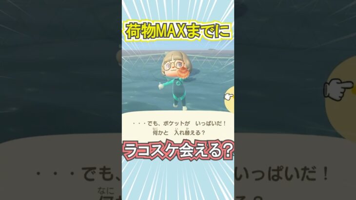 荷物MAXまでにラコスケに会える？【あつ森】 #Shorts #あつ森