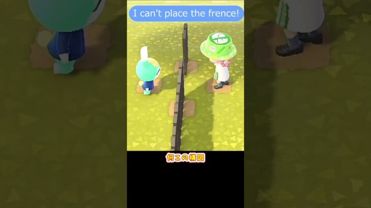 【あつ森】　柵とミッチェル　Mitchell’s incident