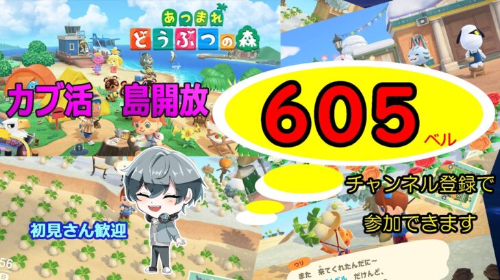 【初見さん歓迎】【あつ森】　今日もやるよ！ウリちゃん島も解放！　島開放　カブ価６０５ベル☆　往復OK！初見さん歓迎！　きゃらめるまきあー島＃028
