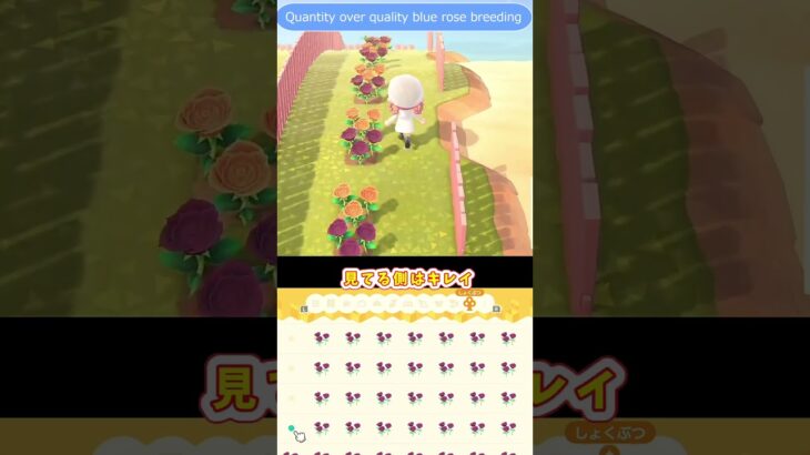 【あつ森】 量＞＞＞＞＞質　Quantity＞＞＞Quality
