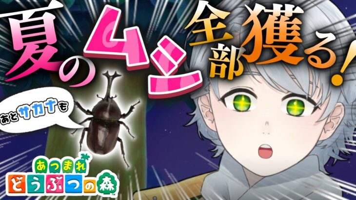 〖 あつ森 〗絶対に寝落ちしないムシとり少年の夜活🌙初見ROM大歓迎！〖 あつまれどうぶつの森 〗＃４５