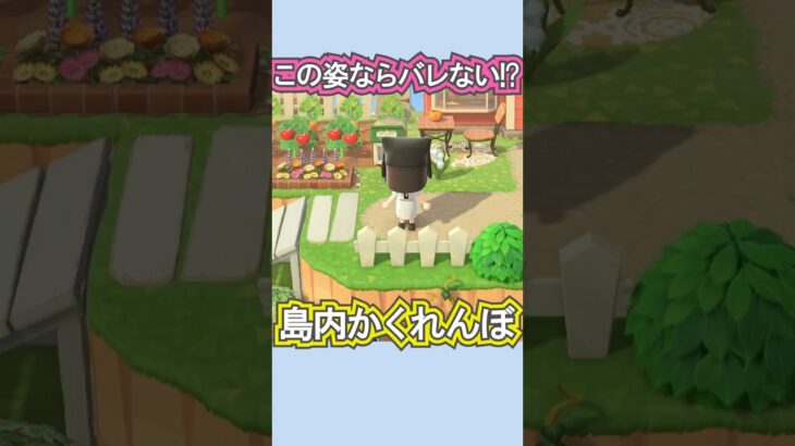 黒子の姿で島民に会ってみた！笑【あつ森】 #Shorts #あつ森