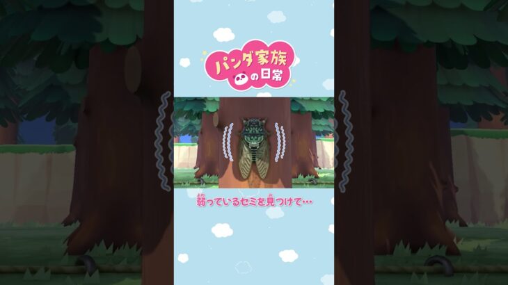 【あつ森アニメ】弱っているセミを見つけて・・・ #Shorts #あつ森
