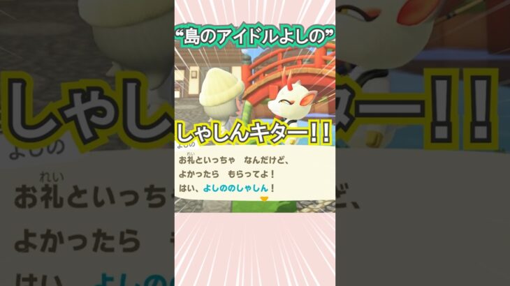 よしの、写真の完成度高すぎ！【あつ森】 #Shorts #あつ森