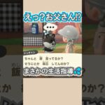 ドンチャン、いつからお父さんに!?笑【あつ森】 #Shorts #あつ森