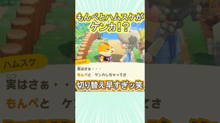 ハムスケ、もんぺちゃんにバレてるぞ!?笑【あつ森】 #Shorts #あつ森