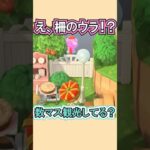 観光客が閉じ込められた!?笑【あつ森】 #Shorts #あつ森