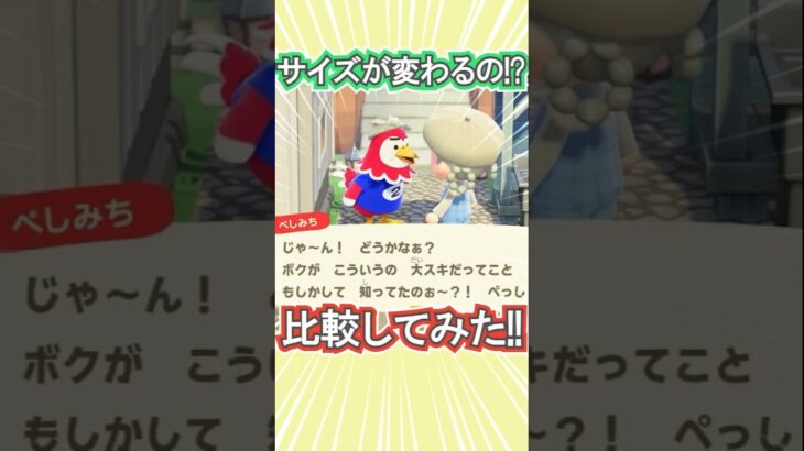島民ごとに帽子のサイズ全然違う‼【あつ森】 #Shorts #あつ森