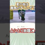 ムシとりするなら夏こそ離島だ！【あつ森】 #Shorts #あつ森