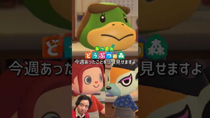 【あつ森】配信外であったことを少し見せます【その他はコミュニティで公開します】#Shorts