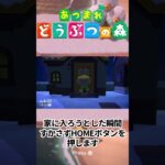 【あつ森┆検証】住民がドアを開けた瞬間にSwitchをホーム画面に戻すと…？ #shorts #あつ森 #あつまれどうぶつの森
