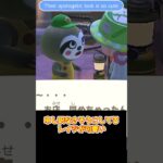 【あつ森】 あつ森は長時間労働　They’re open 24 hours