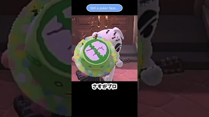 【あつ森】　なんのための網？　Use your net!!