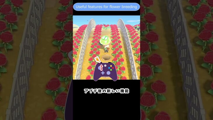 【あつ森】 アプデ後の花の植え方　Useful features for flower breeding