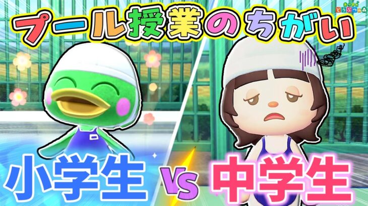 【あつ森アニメ】小学生VS中学生プールの授業のちがい🏊【あつまれどうぶつの森】