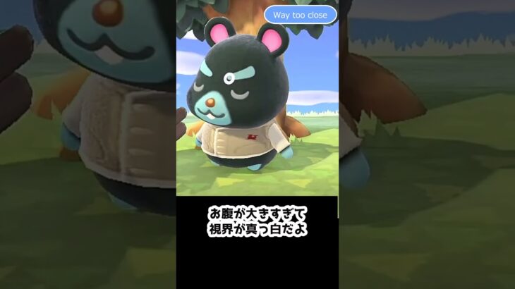 【あつ森】　ハムジどうしたの？　What’s wrong,Hampherey