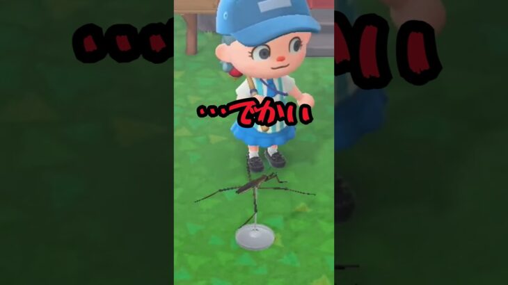 小さかったら多分大丈夫 #acnh #あつ森 #あつまれどうぶつの森 #ゲーム#animalcrossing #どうぶつの森 #animalcrossingnewhorizons  #shorts