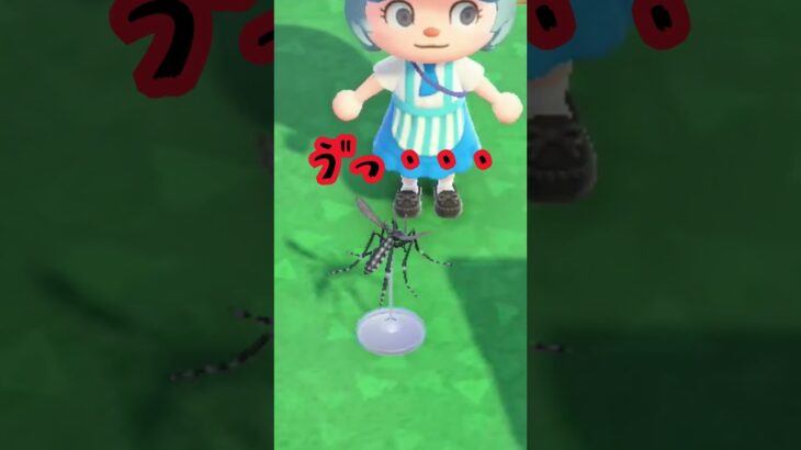 作ってしまった #acnh #あつ森 #あつまれどうぶつの森#どうぶつの森 #animalcrossing #shorts #ゲーム #animalcrossingnewhorizons