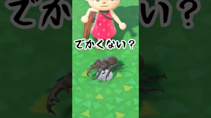 昆虫の脚が苦手 #acnh #あつ森 #あつまれどうぶつの森#shorts #acnh  #ゲーム #どうぶつの森#animalcrossing #animalcrossingnewhorizons