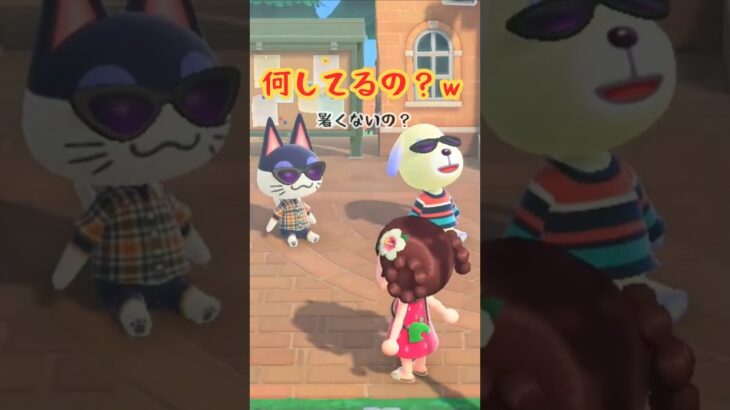 ビーチでやって #acnh #あつ森 #あつまれどうぶつの森#shorts #acnh #どうぶつの森 #animalcrossingnewhorizons #ゲーム