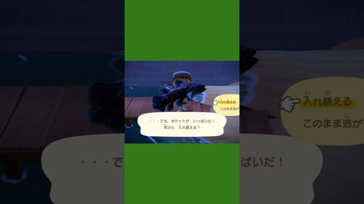 【あつ森ショート】シーラカンス釣ったのに😭間違えたぁぁぁあ！！！ #あつ森 #あつまれどうぶつの森 #animalclossing #ライブ配信 #しゅまのゲーム帳