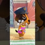 【あつ森】ジョンはやっぱり期待以上、、！ #animalcrossing #あつ森 #あつまれどうぶつの森 #ゲーム実況 #あつ森すきな人と繋がりたい #ゲーム #あつ森住民