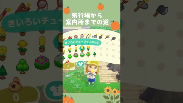 飛行場から案内所の道✨ #あつ森 #あつまれどうぶつの森 #animalcrossing #島クリ