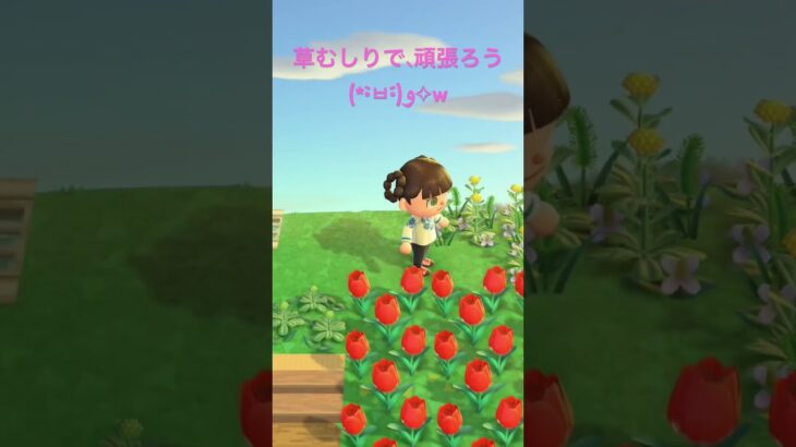 出勤前の作業。ｺﾂ(( ˘ω ˘ *))ｺﾂ #あつ森 #あつまれどうぶつの森 #animalcrossing
