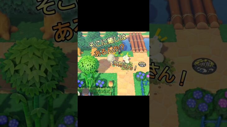 【あつ森は癒ししかありません！の巻！】 #あつまれどうぶつの森 #あつ森 #どうぶつの森 #animalcrossing #shorts