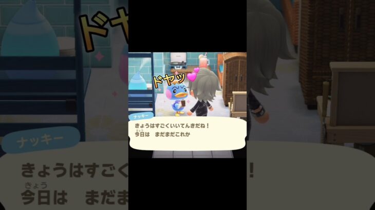 【ナッキーはグーパンチなんてできないよね！の巻！】 #あつまれどうぶつの森 #あつ森 #animalcrossing #shorts