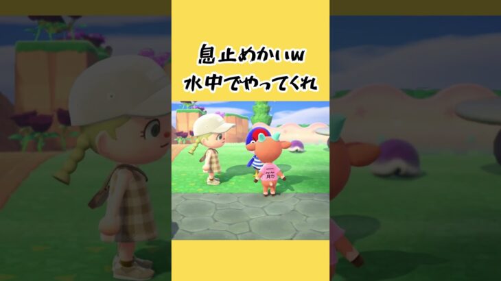 どうぶつ達の勝負 #あつ森 #あつまれどうぶつの森 #ゲーム #どうぶつの森 #animalcrossing #shorts #acnh #animalcrossingnewhorizons