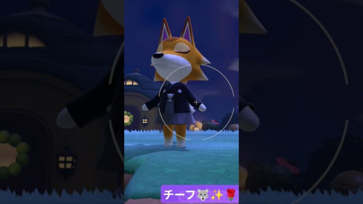 チーフ🐺✨️🌹#あつ森 #animalcrossing #switch #任天堂 #ゲーム#daily#animal#switch2#gaming  #vlog #cute #games 