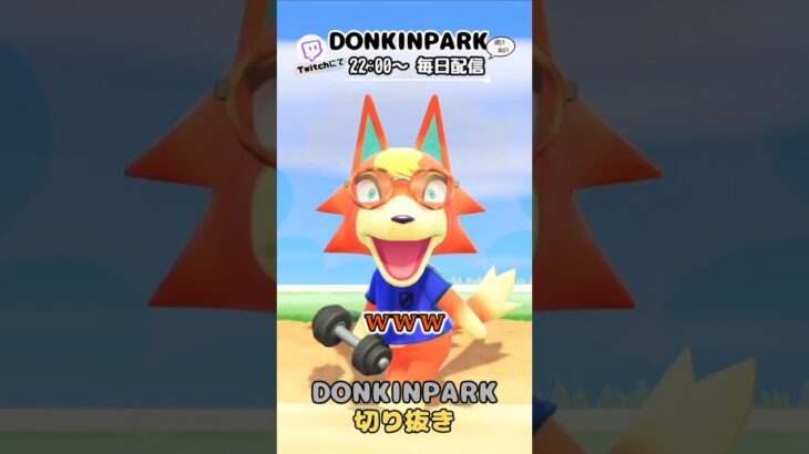 【あつ森】なでしこモニカにいいグラサンを！【あつまれどうぶつの森】 #どうぶつの森  #animalcrossing   #twitch #switch2