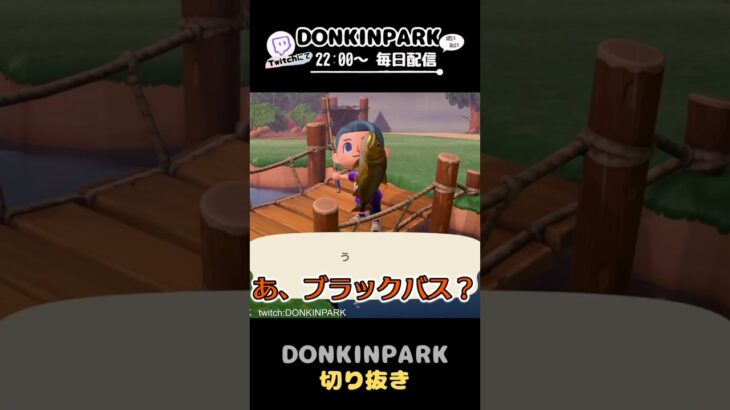 【あつ森】久々の大物川魚を釣り上げる男【あつまれどうぶつの森】 #どうぶつの森  #animalcrossing   #twitch #switch2
