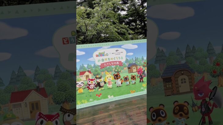 念願のあつ森イベント！in長野#あつ森 #あつまれどうぶつの森