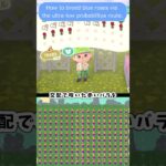 【あつ森】 青バラはとにかく待つ　just bi patient