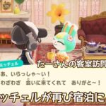 本編動画【あつ森】ミッチェルくん再び！@たーさんの趣味の部屋 #たーさんの客室訪問#mochachan島