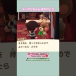 【あつ森】メープルちゃんの写真貰えたよ@たーさんの趣味の部屋 #たーさん住民と遊ぶ#mochachan島 #youtubeshorts