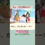 【あつ森】情熱的なメープルちゃん🤣@たーさんの趣味の部屋 #たーさん住民と遊ぶ#mochachan島#youtubeshorts