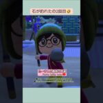 【あつ森】夜釣りで釣れたもの🤣@たーさんの趣味の部屋 #たーさん釣りを楽しむ#mochachan島#youtubeshorts