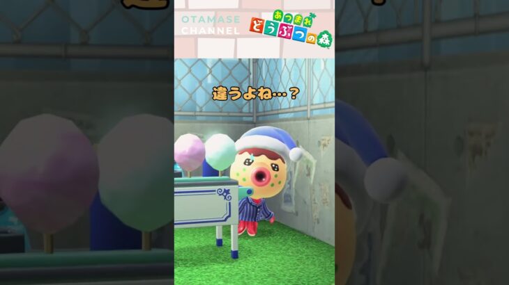 【あつ森小ネタ】ホントに…？　#shorts #あつ森 #あつまれどうぶつの森