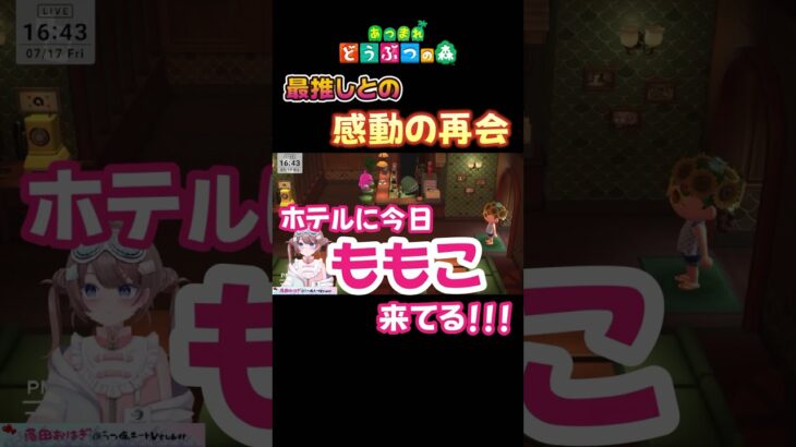 【あつ森】過去作から大好きなキャラに会えてご満悦【落田おはぎ】 #あつまれどうぶつの森 #shorts #切り抜き
